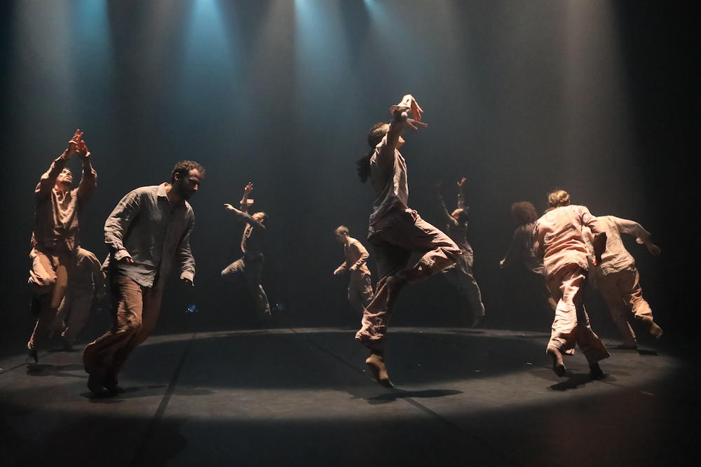 Il Fedora Prize alla Shechter Company